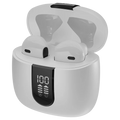 R-190 Mashion